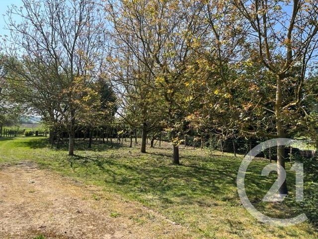 terrain à vendre - 1670.0 m2 - NAINTRE - 86 - POITOU-CHARENTES - Century 21 A.B.C.