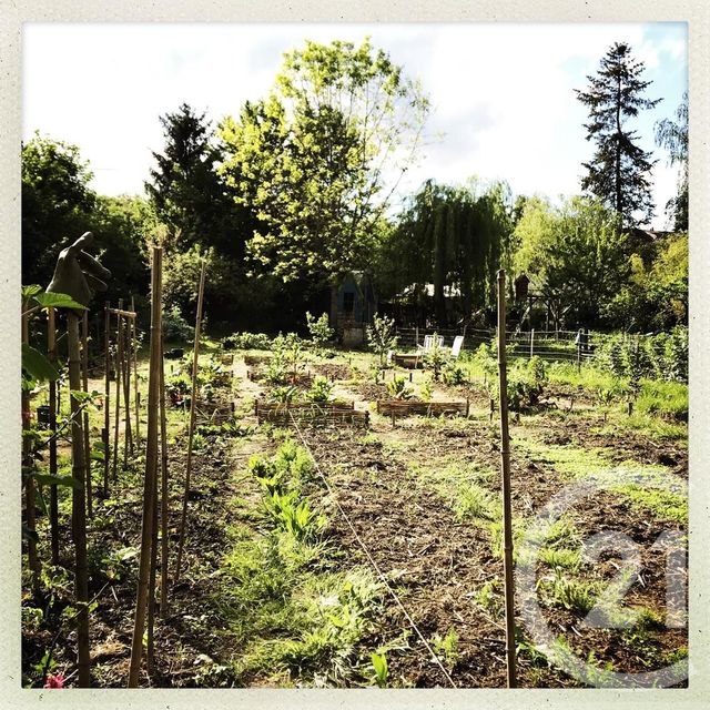 terrain à vendre - 997.0 m2 - CHATELLERAULT - 86 - POITOU-CHARENTES - Century 21 A.B.C.