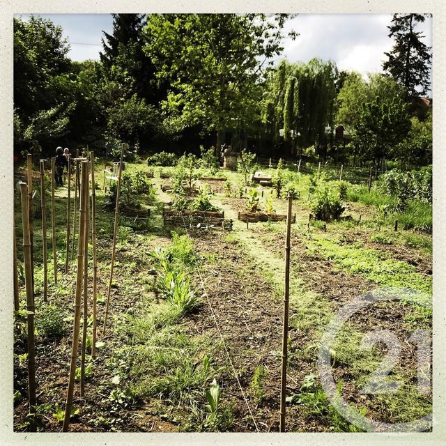 terrain à vendre - 997.0 m2 - CHATELLERAULT - 86 - POITOU-CHARENTES - Century 21 A.B.C.