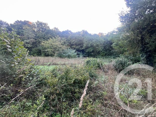 maison à vendre - 5 pièces - 90.0 m2 - CHATELLERAULT - 86 - POITOU-CHARENTES - Century 21 A.B.C.