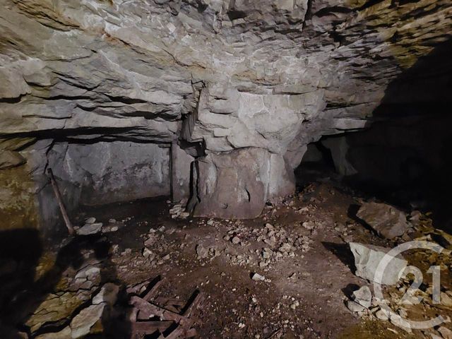 maison à vendre - 14 pièces - 501.0 m2 - ST GERVAIS LES TROIS CLOCHERS - 86 - POITOU-CHARENTES - Century 21 A.B.C.