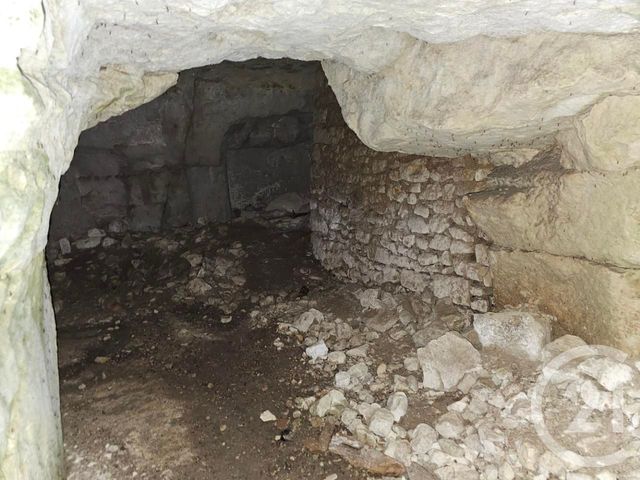 maison à vendre - 14 pièces - 501.0 m2 - ST GERVAIS LES TROIS CLOCHERS - 86 - POITOU-CHARENTES - Century 21 A.B.C.