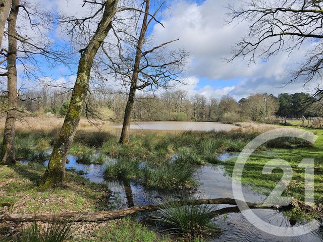 maison à vendre - 13 pièces - 293.0 m2 - LEUGNY - 86 - POITOU-CHARENTES - Century 21 A.B.C.