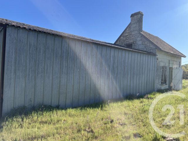 terrain à vendre - 7390.0 m2 - THURE - 86 - POITOU-CHARENTES - Century 21 A.B.C.