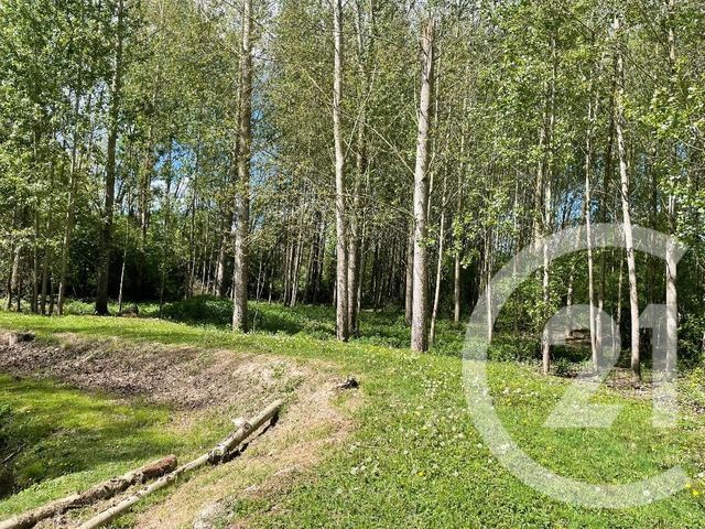 terrain à vendre - 5390.0 m2 - DISSAY - 86 - POITOU-CHARENTES - Century 21 A.B.C.