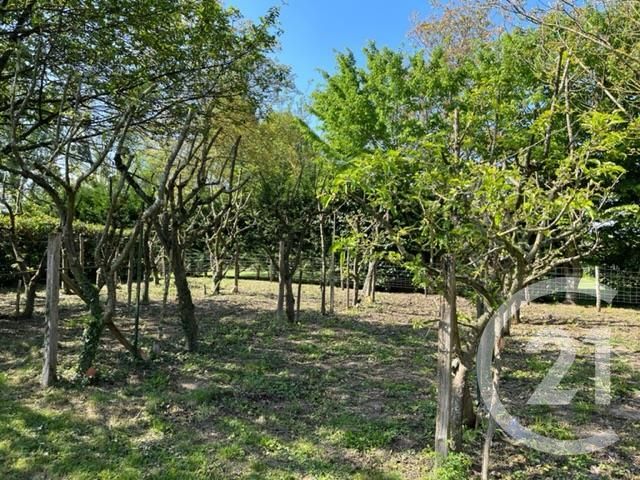 terrain à vendre - 1670.0 m2 - NAINTRE - 86 - POITOU-CHARENTES - Century 21 A.B.C.