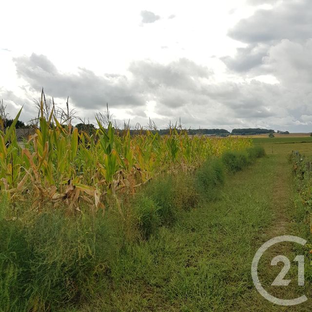 terrain à vendre - 2655.0 m2 - ORCHES - 86 - POITOU-CHARENTES - Century 21 A.B.C.